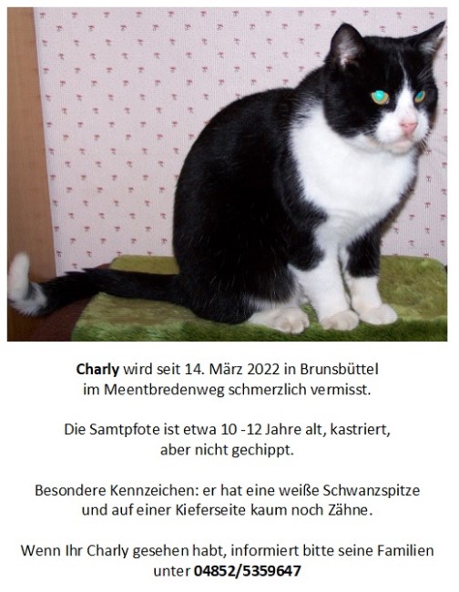 2022-04-03 Charly